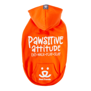 Best Friends Pawsitive Attitude Dog Hoodie - Orange, Small