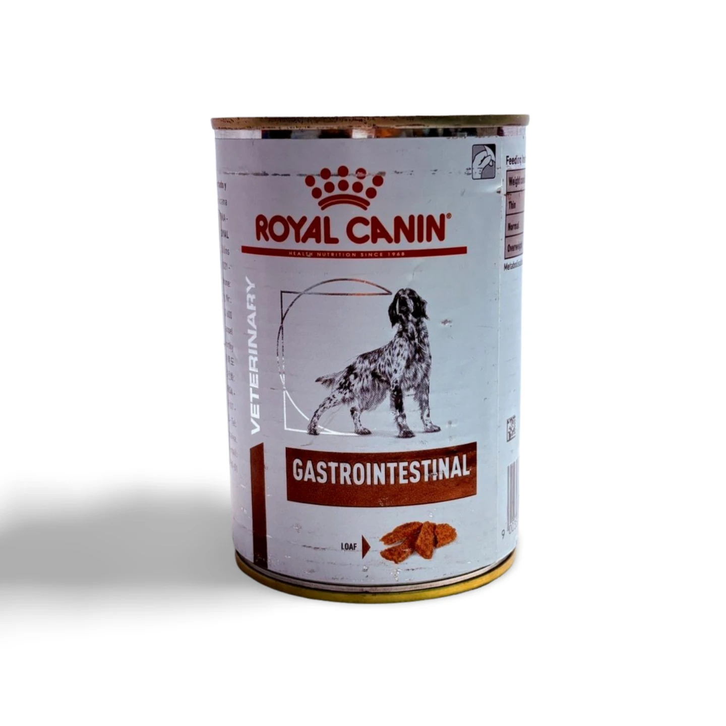 ROYAN CANIN GASTROINTESTINAL 400 GM